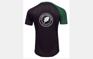 Tee-Shirt V-238 de la marque VICTAS (homme)